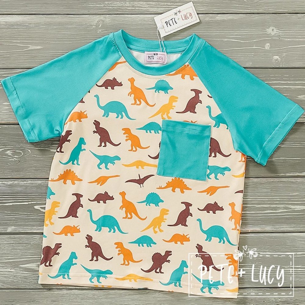 Delightful Dinosaurs Boy Top